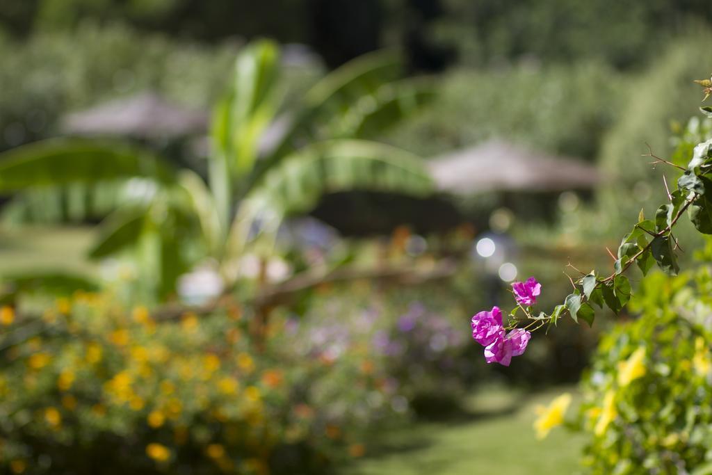 Hotel Mariposas Villasimius Kültér fotó
